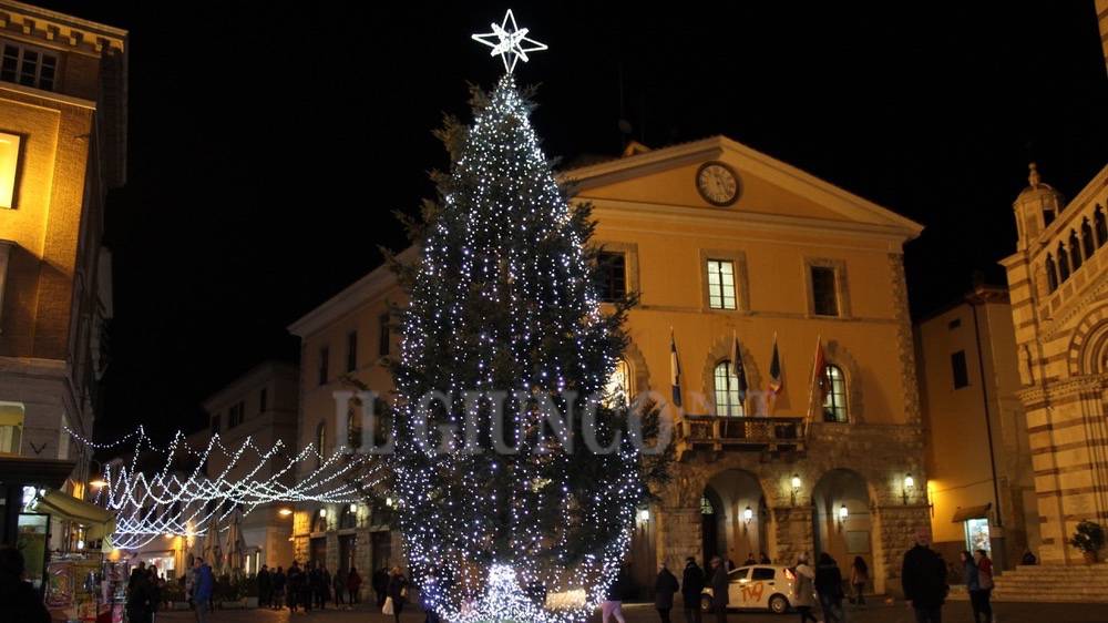 Grosseto scintillante si fa bella per le feste: acceso il grande albero in piazza