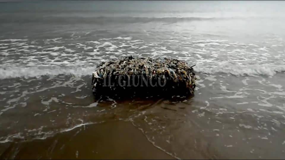 Ancora una ecoballa spiaggiata a Punta Ala: indagini in corso per capire da dove arrivino