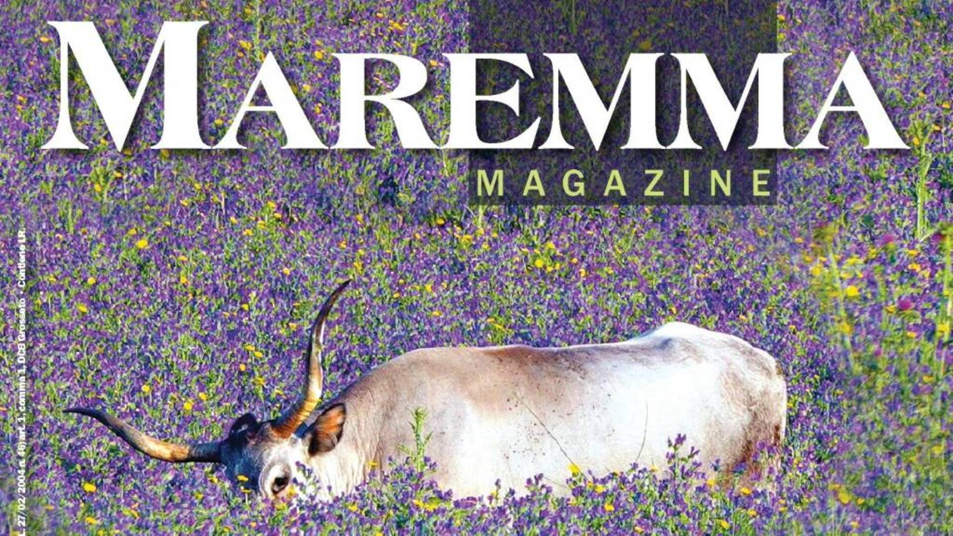Maremma Magazine: in edicola ed on line il numero di novembre